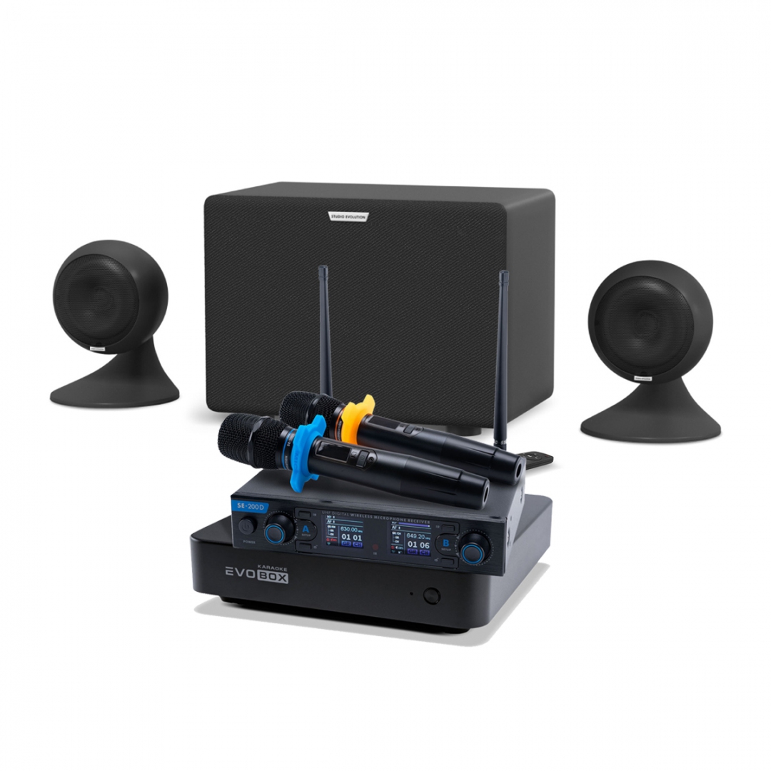 караоке-комплект EVOBOX + EvoSound Sphere 2.1 в Лисках