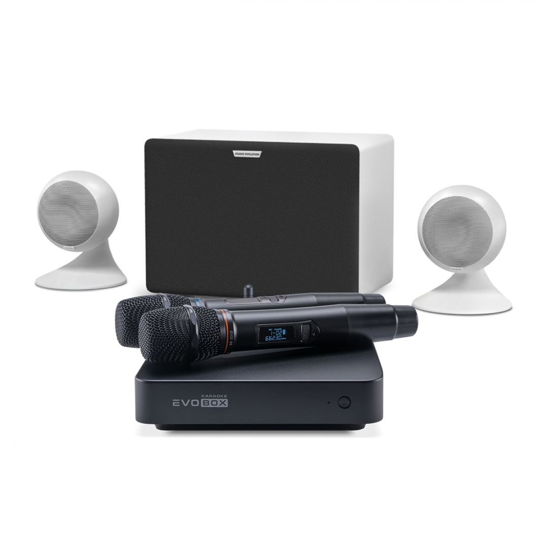 караоке-комплект EVOBOX Classic + EvoSound Sphere 2.1 в Лисках