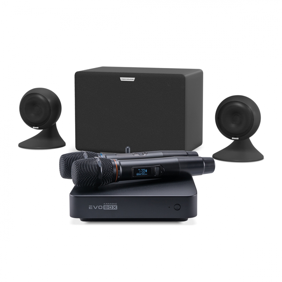 караоке-комплект EVOBOX Plus + EvoSound Sphere 2.1 в Лисках