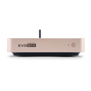 EVOBOX Classic караоке-система для дома в Лисках