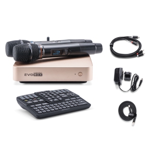 EVOBOX Classic караоке-система для дома в Лисках