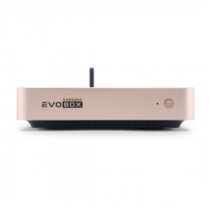 EVOBOX Plus караоке-система для дома в Лисках