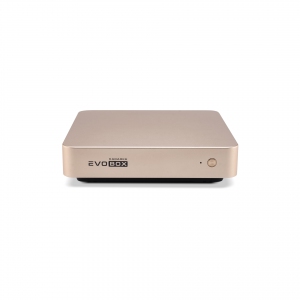 EVOBOX с микрофонами в Лисках